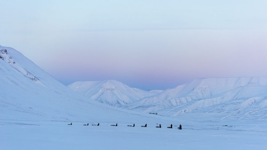 Hundeslede Vinter 1 Agurlxane Concellon Hurtigruten Svalbard