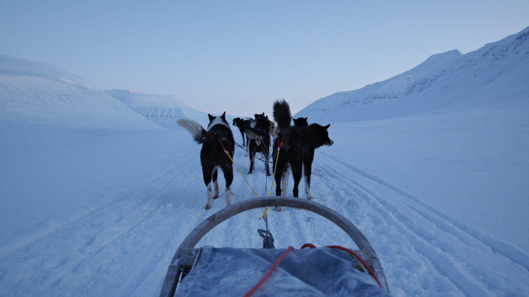 Hundeslede vinter Ragnar Hartvig Hurtigruten Svalbard